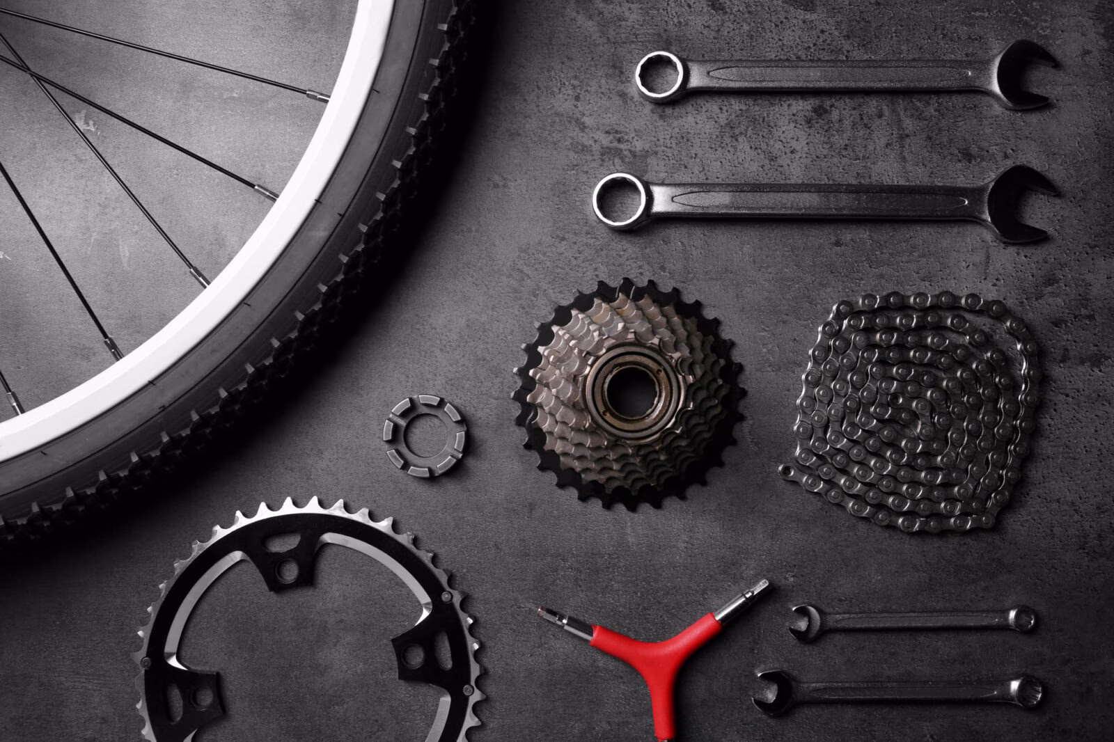 Hogenboom BikeStore