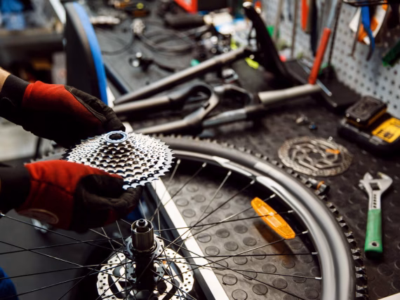 Reparatie